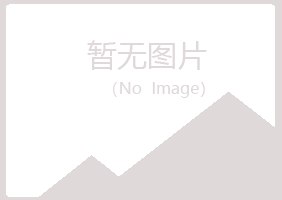 鹤岗南山问筠工程有限公司